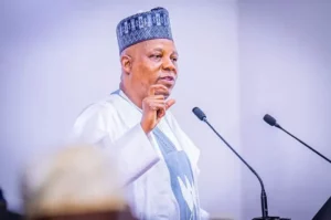 Shettima calls for boosting Africa’s GDP and trade at Davos
